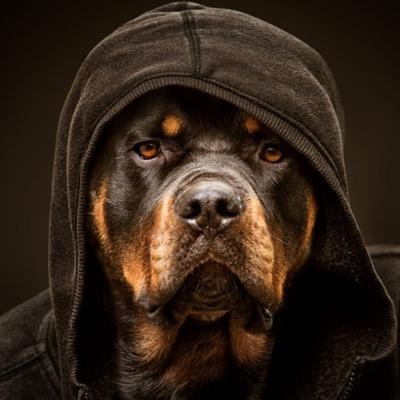 Владислав Ильин