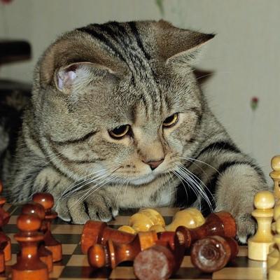 Вадим Алексеев